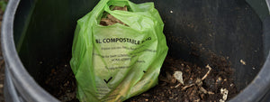 Compostable bag breaking down in a home compost
